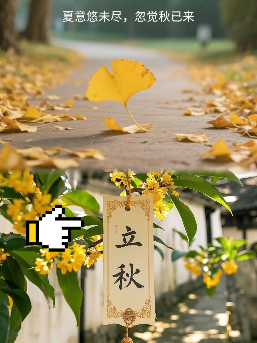 娱乐生活 第156页