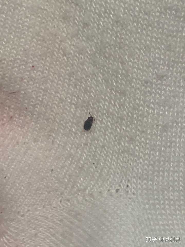 最新资讯 第150页