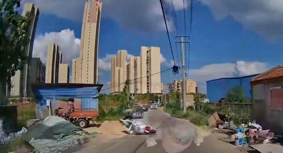 娱乐生活 第131页
