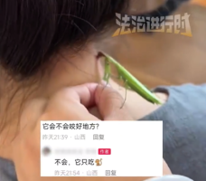 游戏专题 第112页