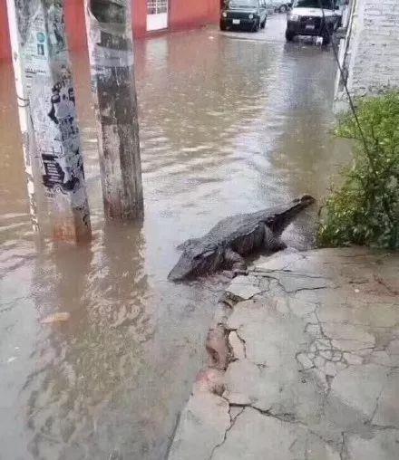 港澳新闻 第8页
