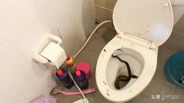 热点生活 第14页