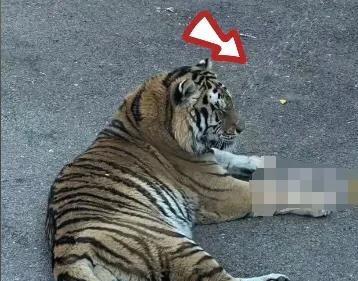 港澳新闻 第11页