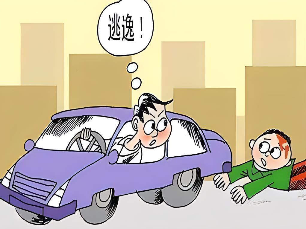 拦停逃逸者反遭索赔