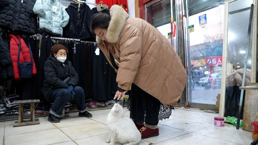 老人在养老院遭殴打 涉事人被控制老人在养老院遭殴打事件曝光，涉事人被控制，关注养老安全，呼吁社会正义